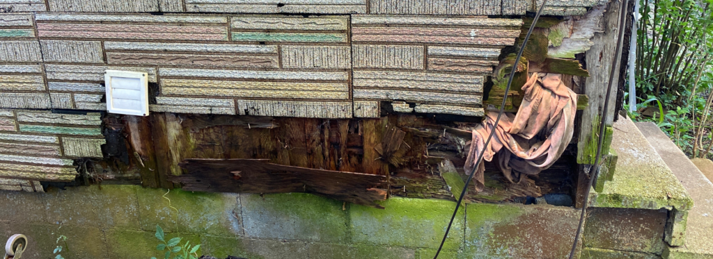 the image shows siding of a house with rotting wood and a towel stuffed in a hole.